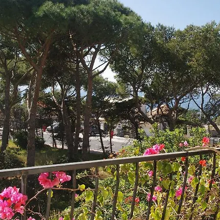 Almanarre - Eco-responsable Face A La 2*