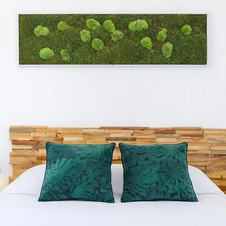 Almanarre - Eco-responsable Face A La