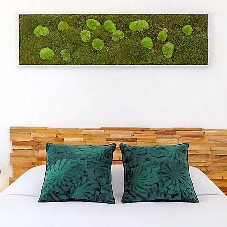 Hotel Almanarre - Eco-responsable Face A La 2*